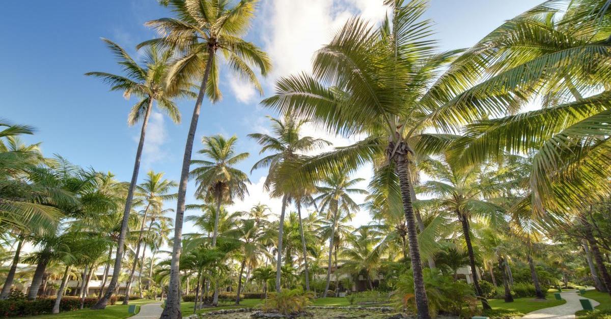 The Level At Melia Caribe Beach (Adults Only) Punta Cana Exterior foto